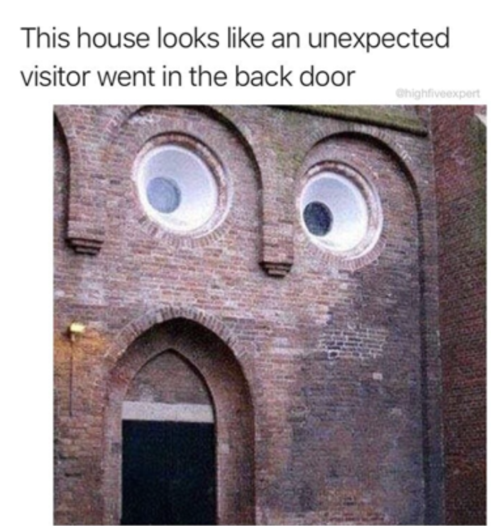Unexpected visitor in back door meme